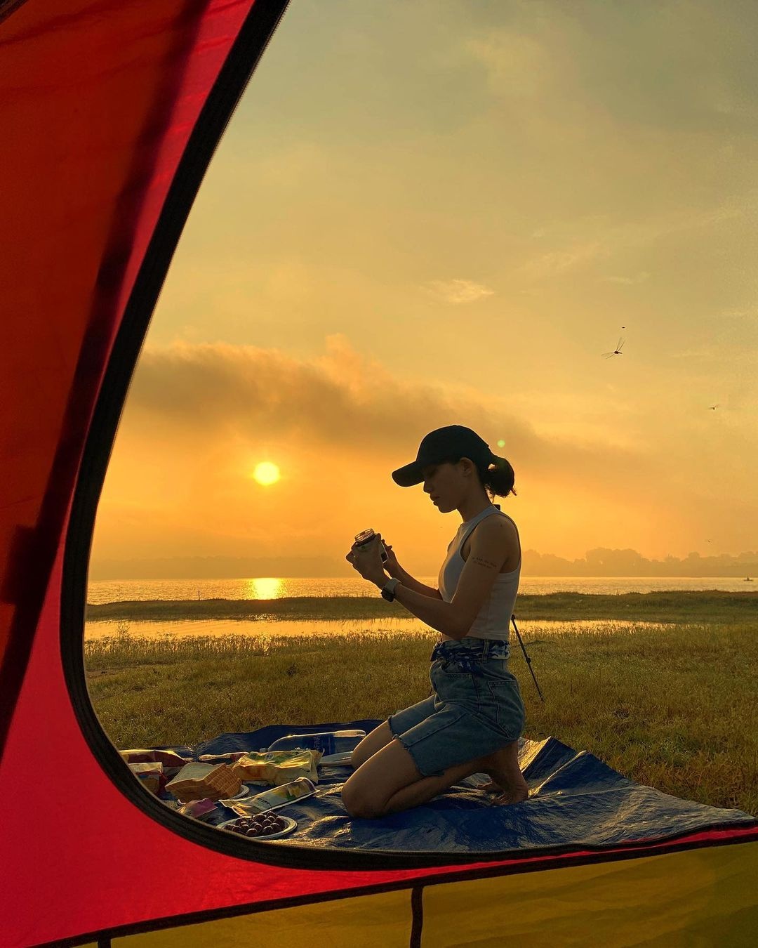 diem cam trai gan TP.HCM anh 15