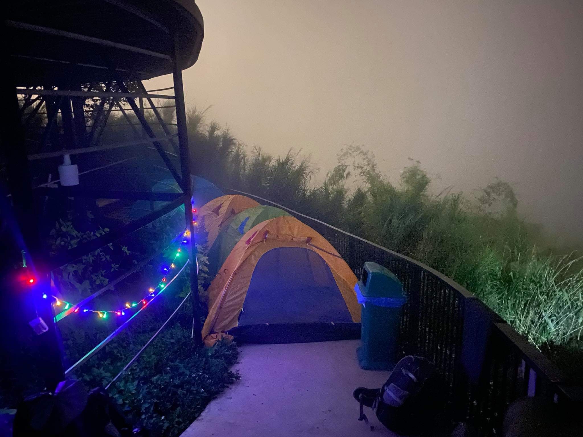 diem cam trai gan TP.HCM anh 17