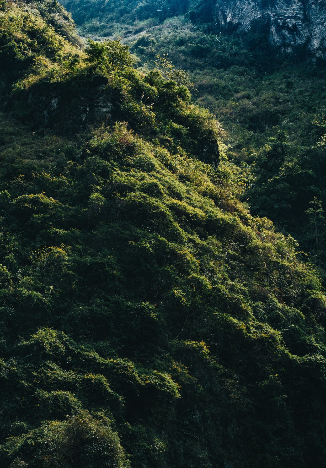 Sac xuan tren reo cao Ha Giang anh 6