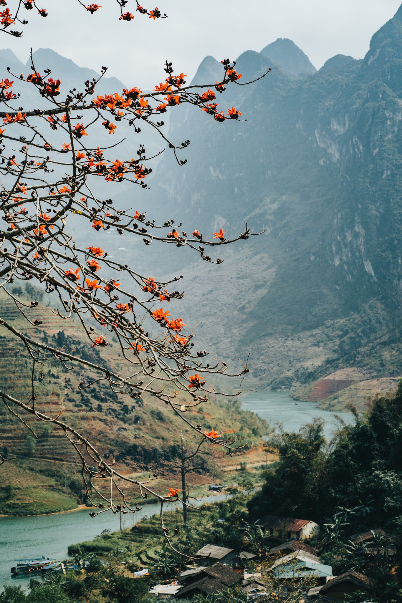 Sac xuan tren reo cao Ha Giang anh 7