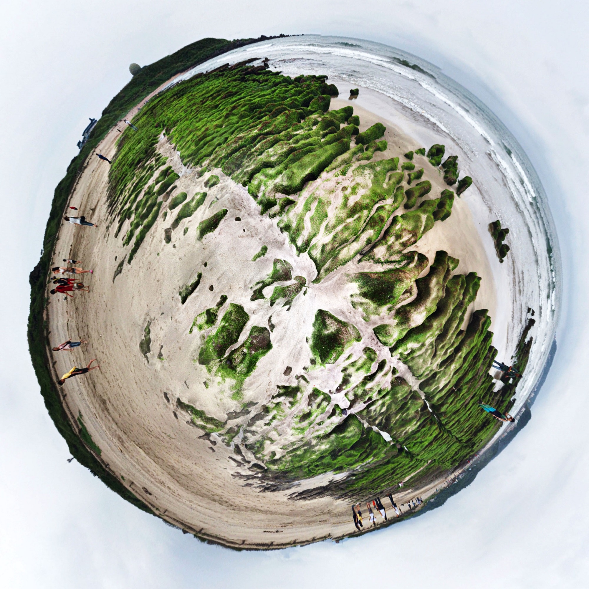 Bãi biển rêu phủ xanh ở Đài Loan ảnh 2 Bai bien reu phu xanh o Dai Loan anh 2