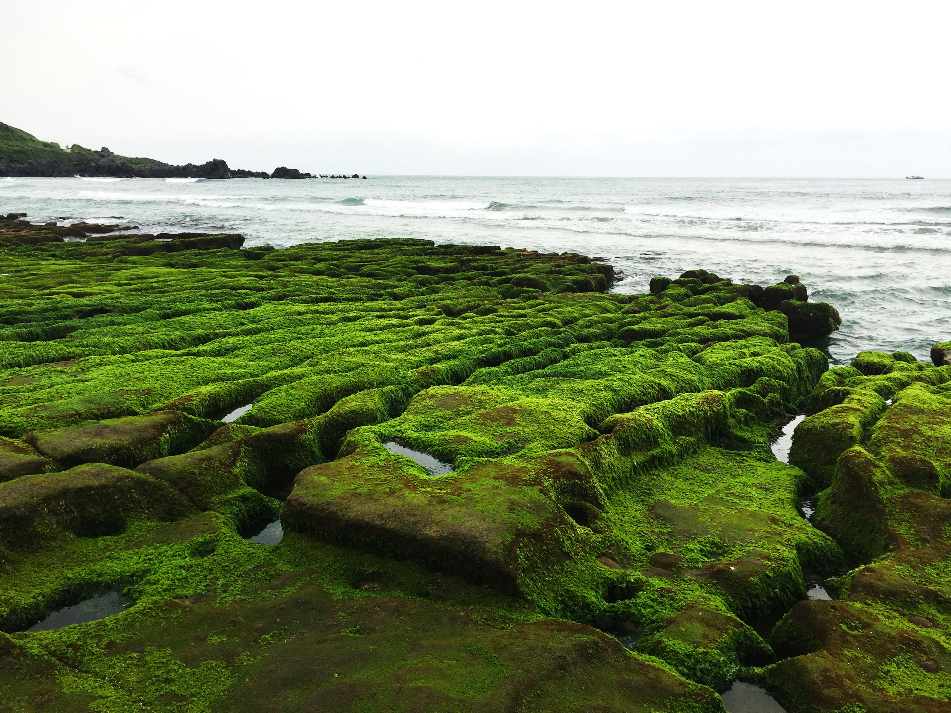 Bai bien reu phu xanh o Dai Loan anh 3