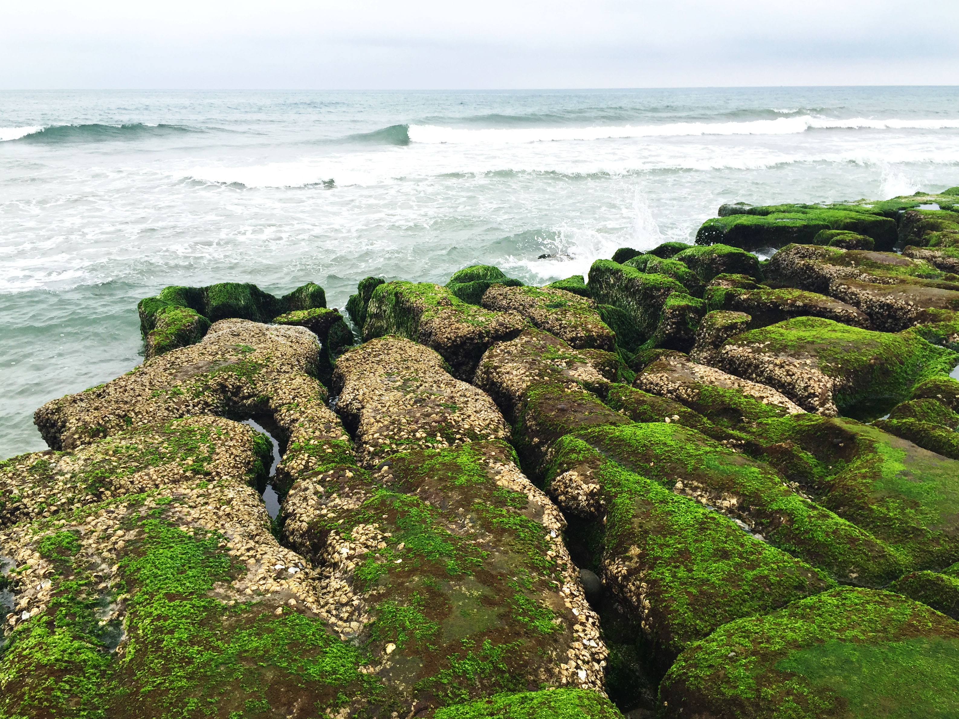 Bai bien reu phu xanh o Dai Loan anh 4