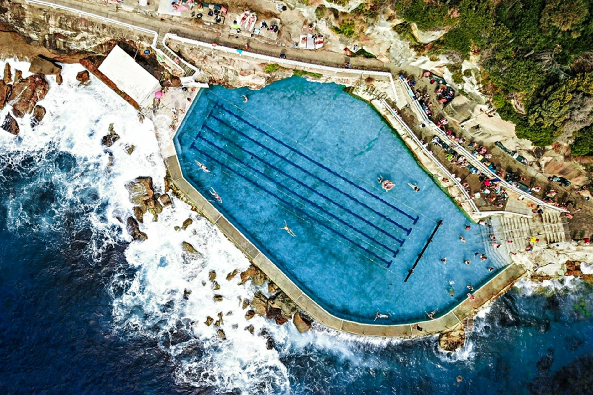 7 ho boi giap mat bien ngoan muc hinh anh