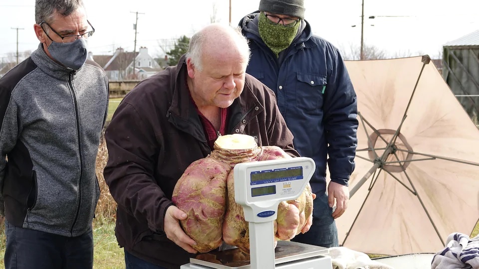 Cu cai nang nhat the gioi anh 2