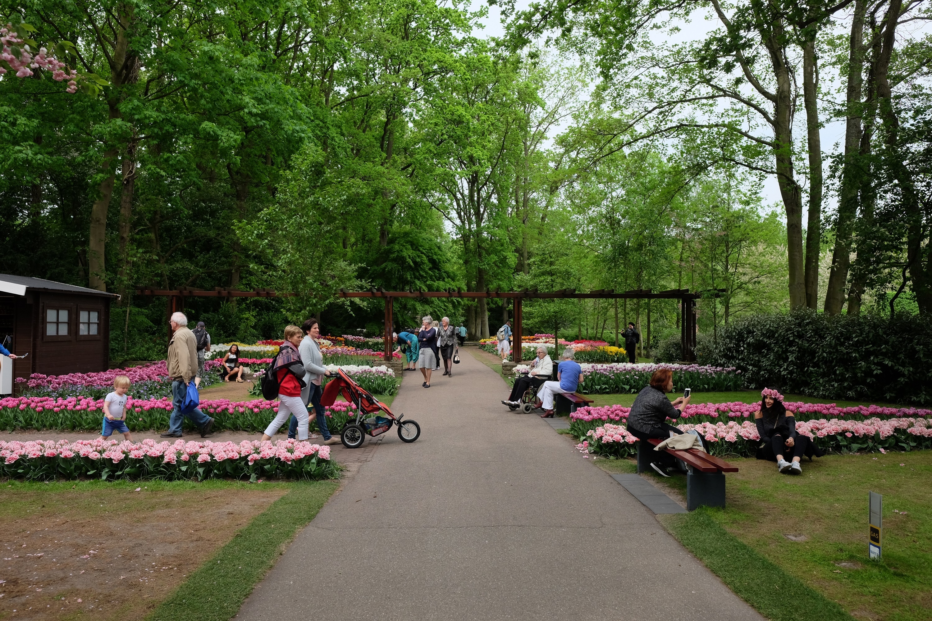 Cong vien Keukenhof o Ha Lan anh 8