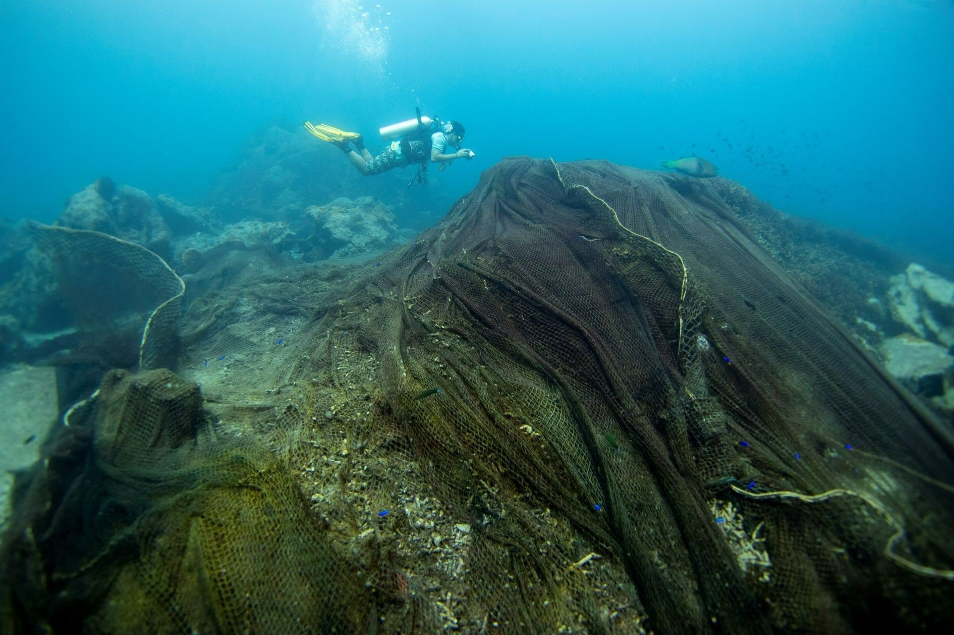 Tho lan Thai Lan giai cuu ran san ho khoi luoi danh ca hinh anh