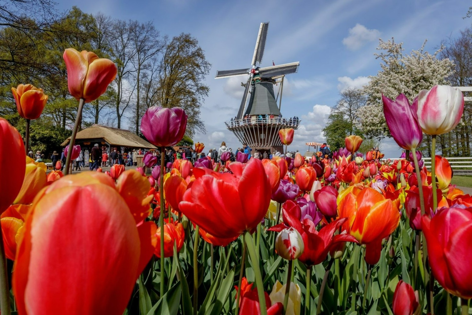 Noi duoc menh danh 'Khu vuon cua chau Au' hinh anh