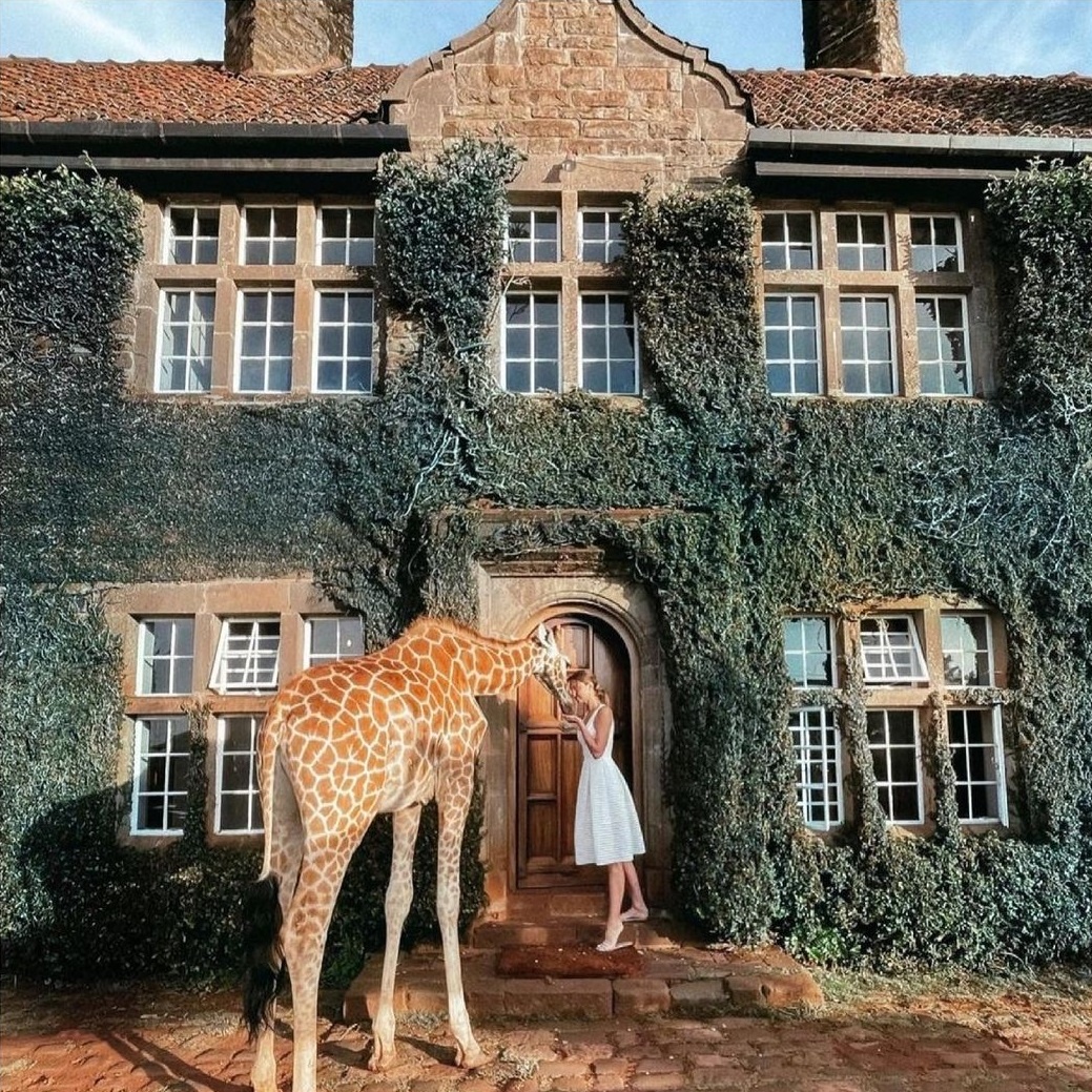 Khách sạn hươu cao cổ ở Kenya ảnh 1 Khach san huou cao co o Kenya anh 1