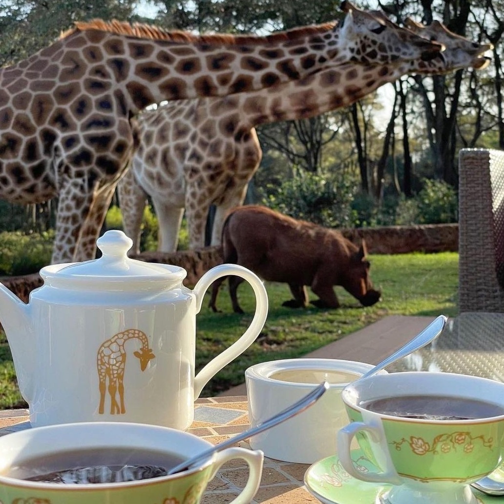 Khách sạn hươu cao cổ ở Kenya ảnh 10 Khach san huou cao co o Kenya anh 10