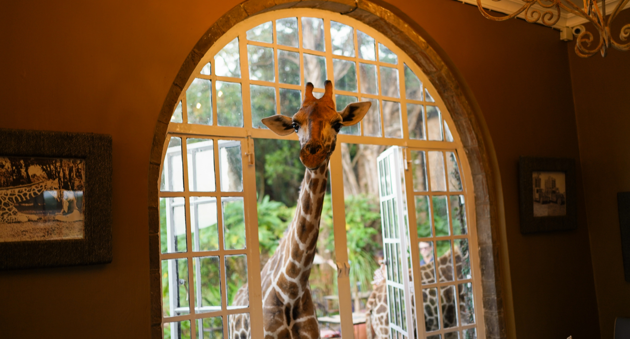 Khach san huou cao co o Kenya anh 15