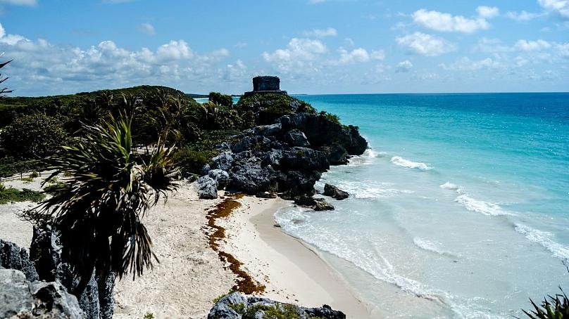 Hon dao chi mo cua cho gioi sieu giau anh 2