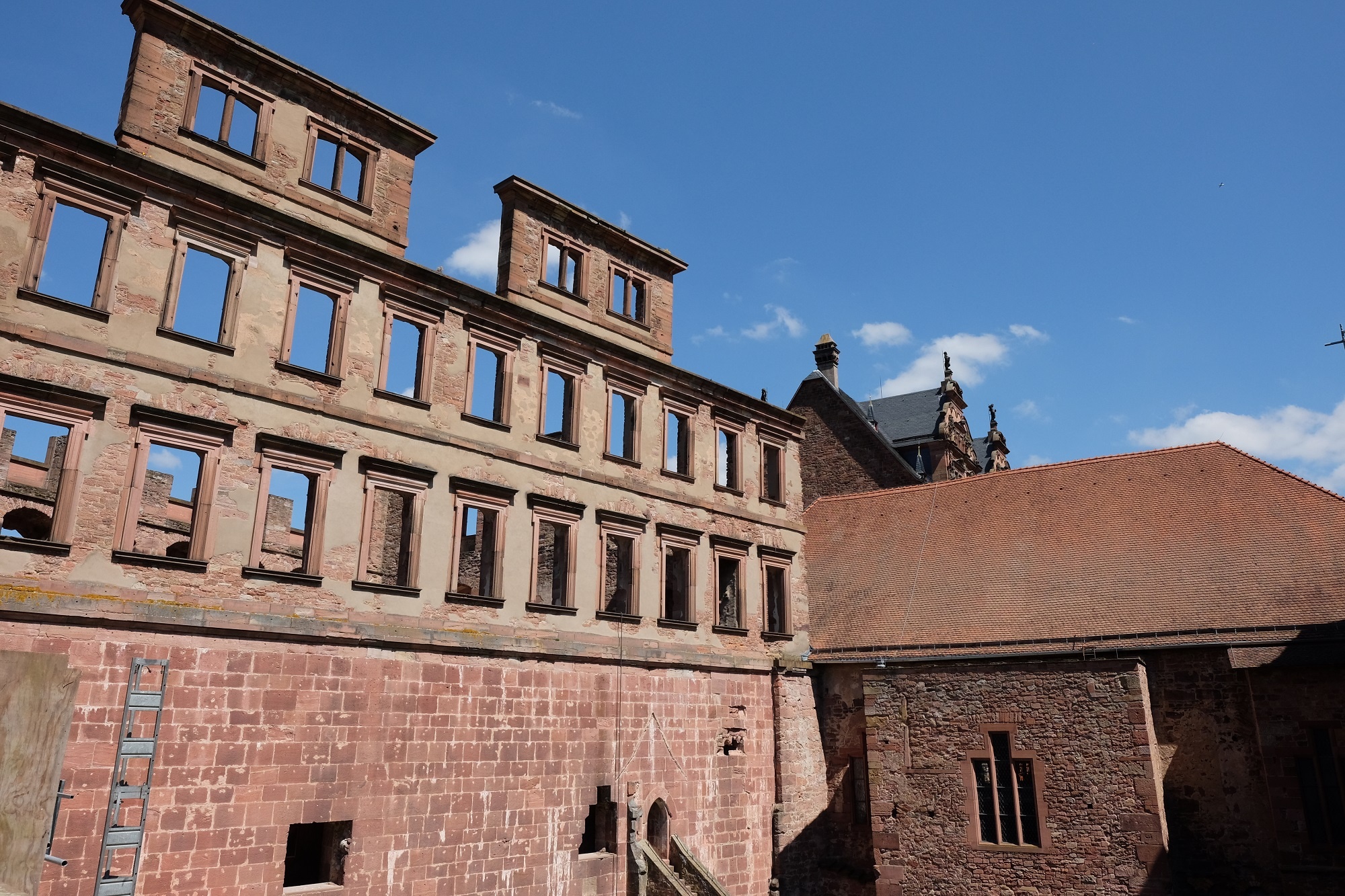 lau dai Heidelberg anh 5