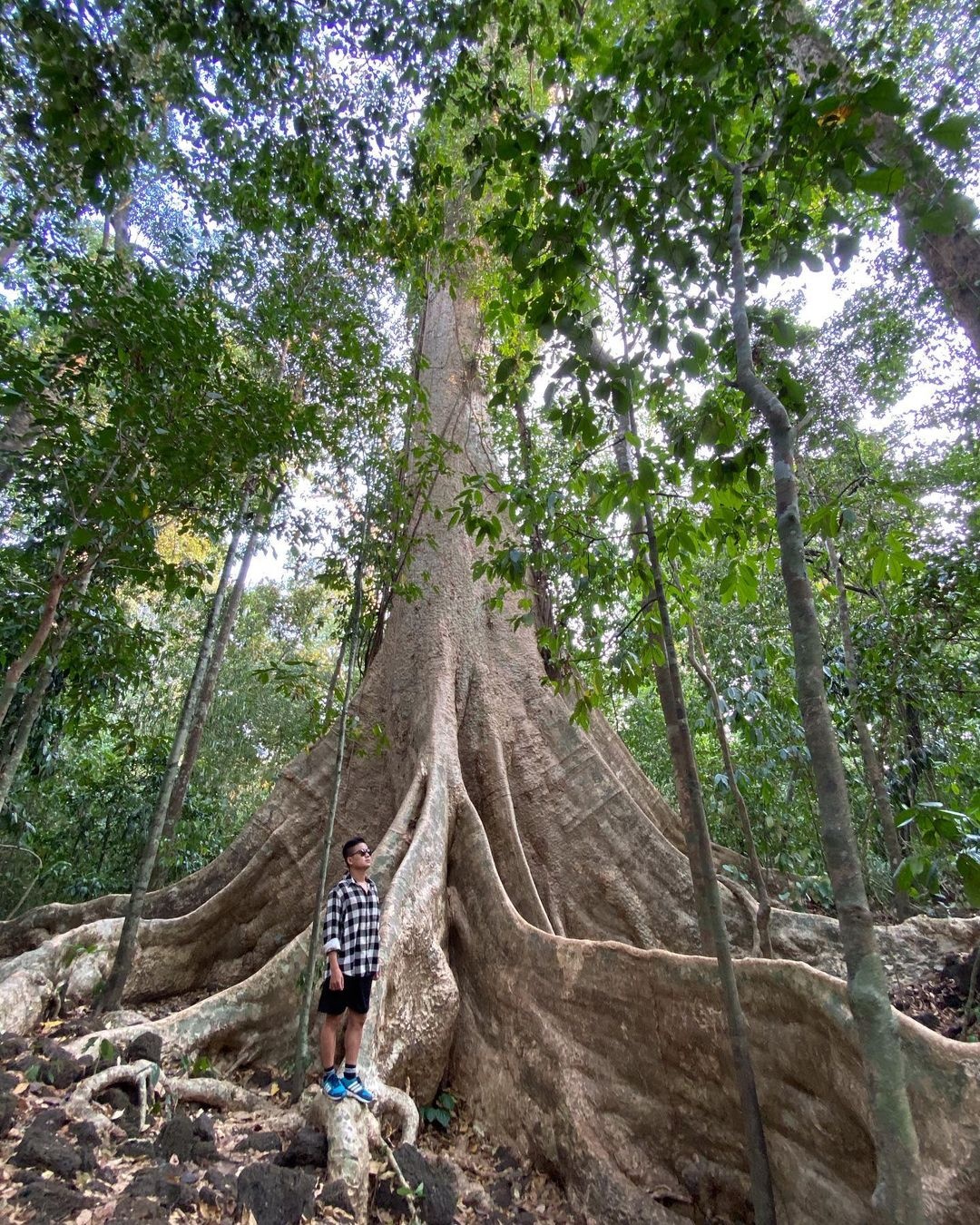 Những điểm đến gần TP.HCM ảnh 1 Nhung diem den gan TP.HCM anh 1