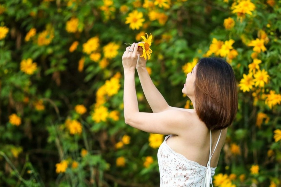 Nhung mua hoa cuoi nam o Da Lat hinh anh