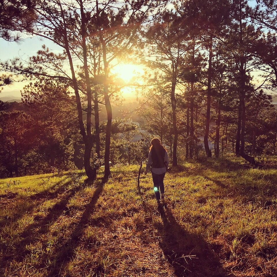 diem cam trai tai Da Lat anh 2