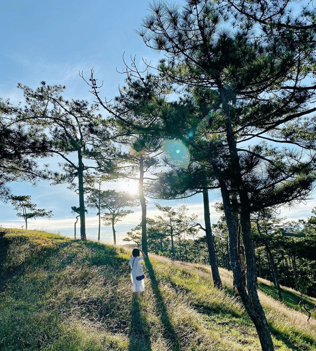 diem cam trai tai Da Lat anh 3