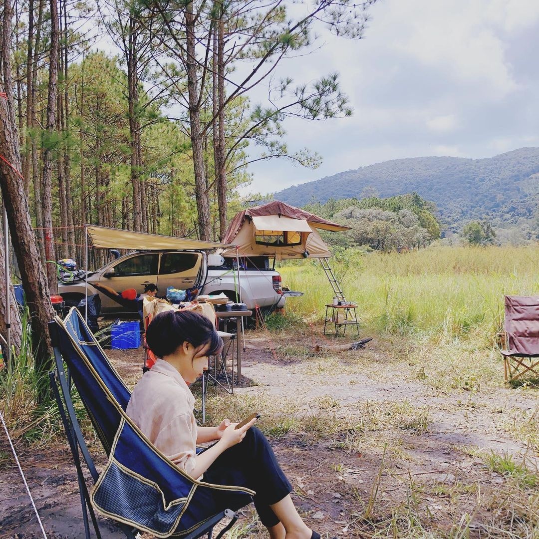 diem cam trai tai Da Lat anh 5