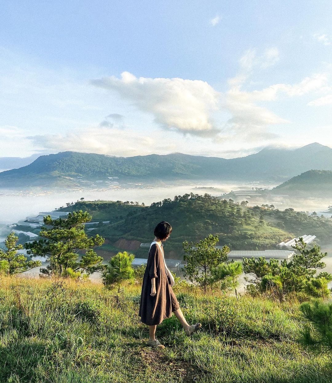 diem cam trai tai Da Lat anh 7