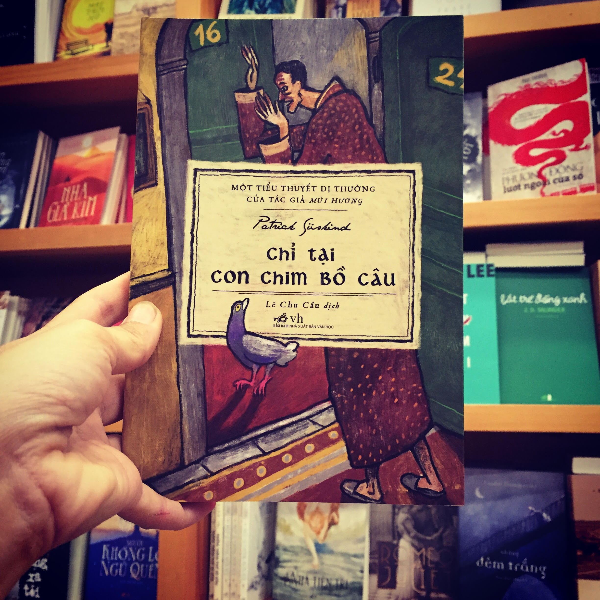 Chi tai con chim bo cau anh 1