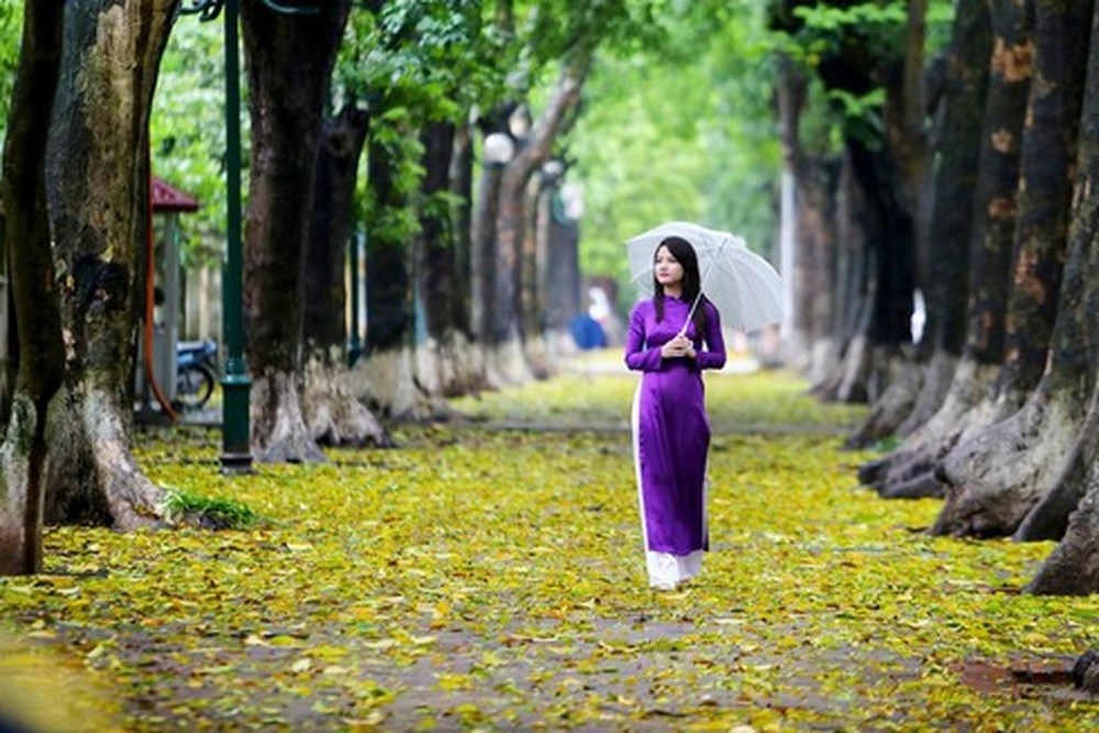 Mùa thu hà nội ảnh 2 Mua thu ha noi anh 2