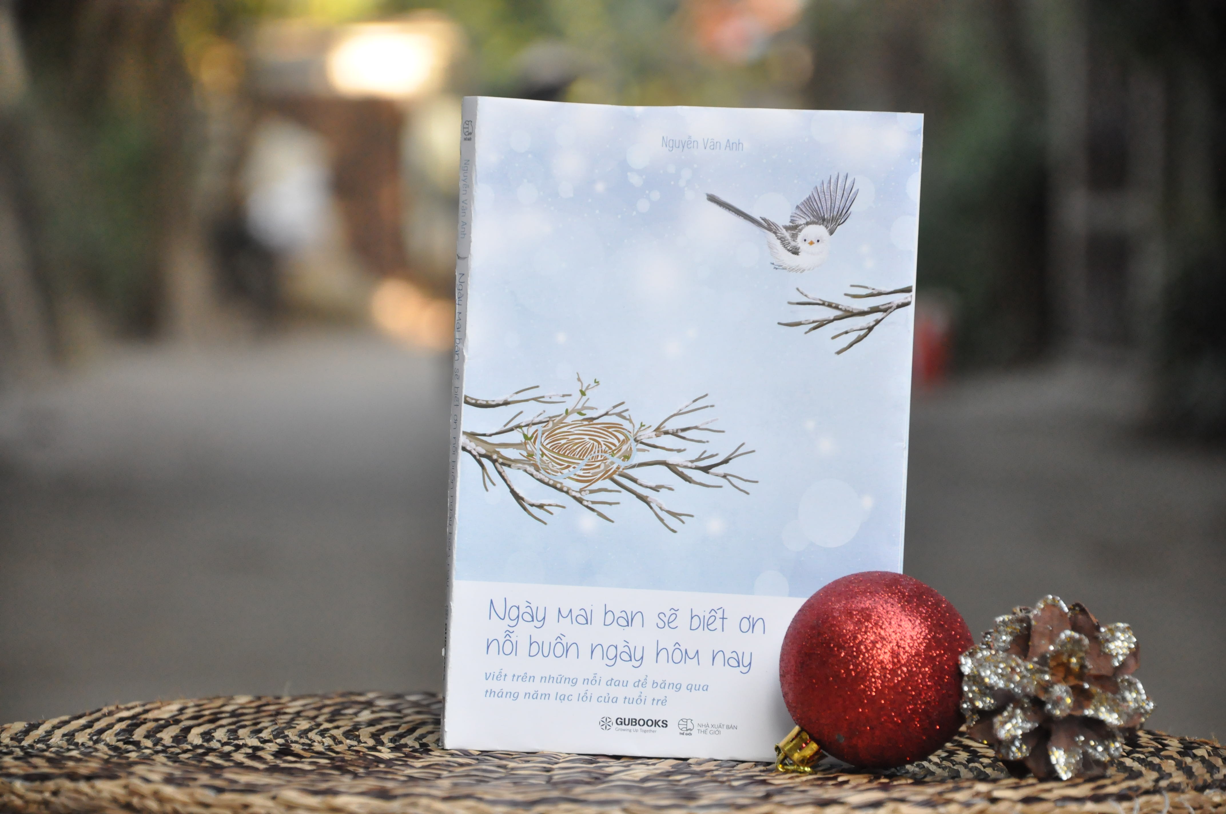 Ngay mai ban se biet on noi buon cua ngay hom nay anh 1