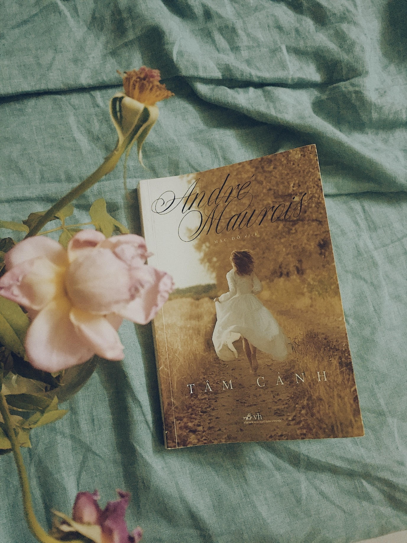 ‘Tam Canh’: Khoai cam va bi kich trong me cung ai tinh hinh anh