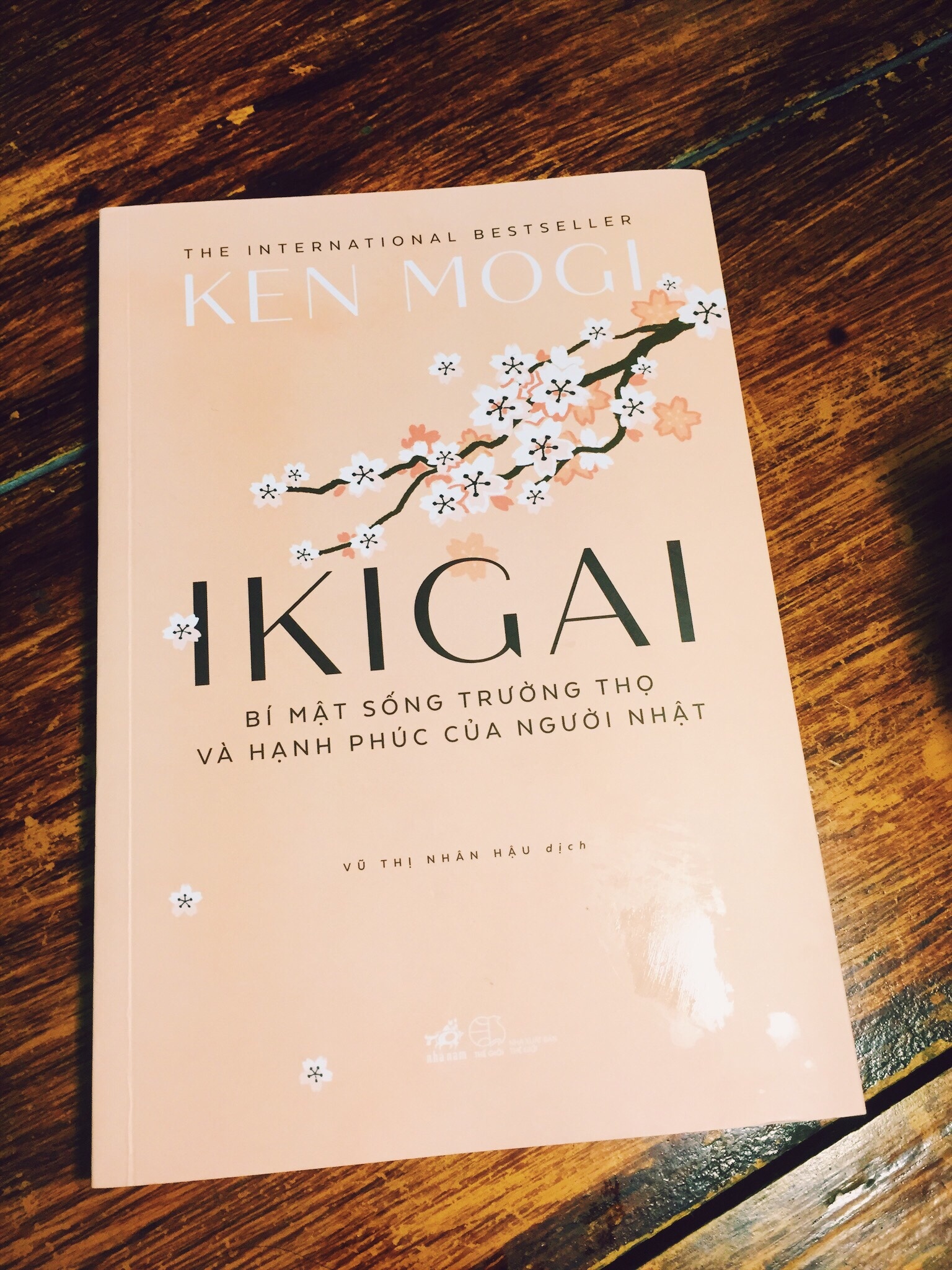 Ikigai la gi anh 1