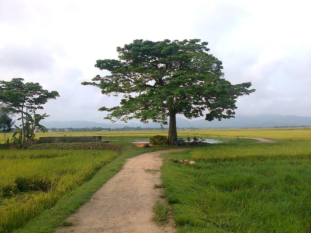 Tiếng vọng ấu thơ ảnh 2 Tieng vong au tho anh 2