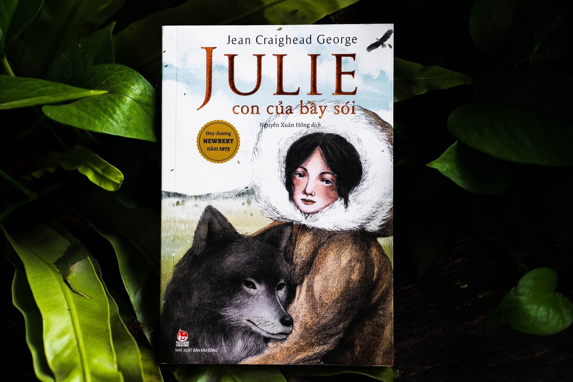 Review sach Julie con cua bay soi anh 1