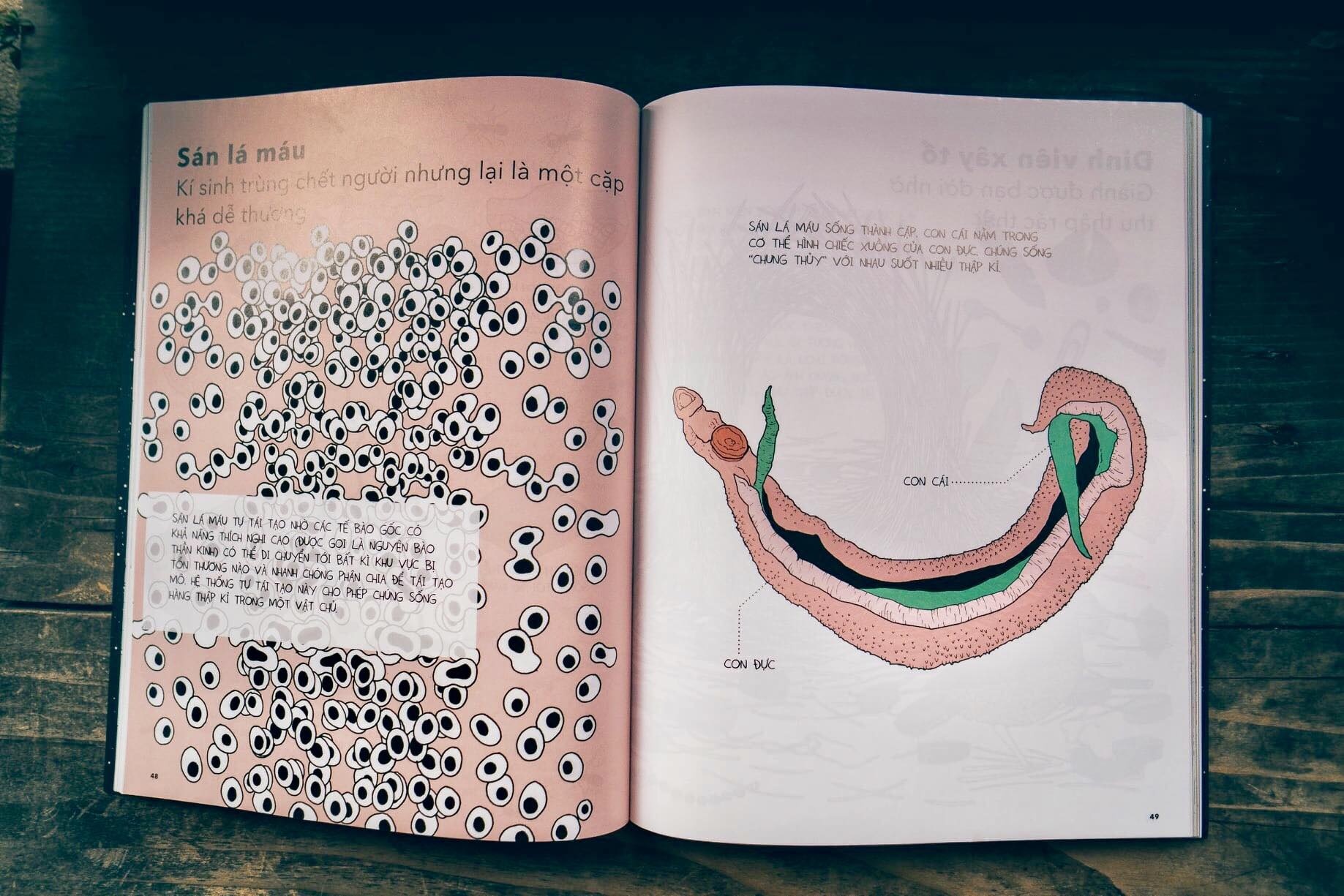 Review sach Chan dung khoa hoc anh 2