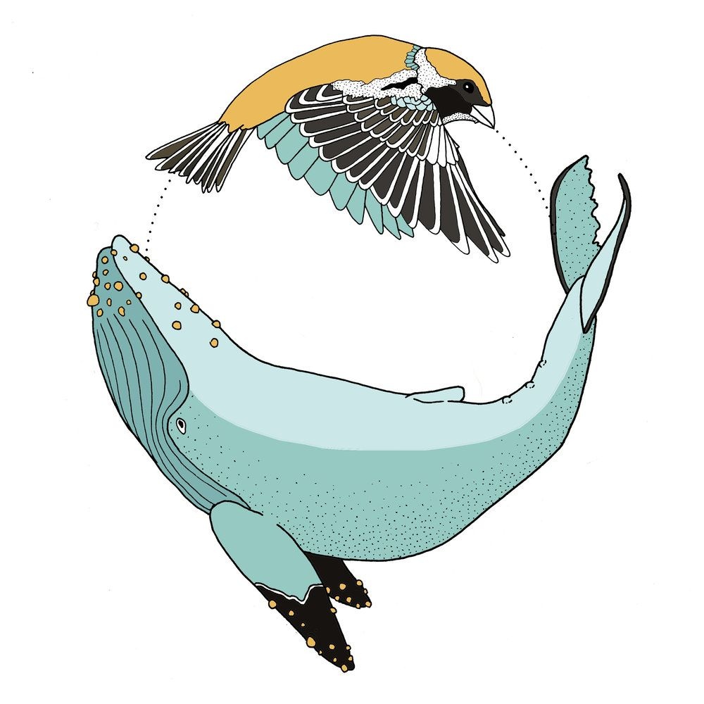 Kham pha khoa hoc qua nhung chi dan hinh anh doc dao, sinh dong hinh anh