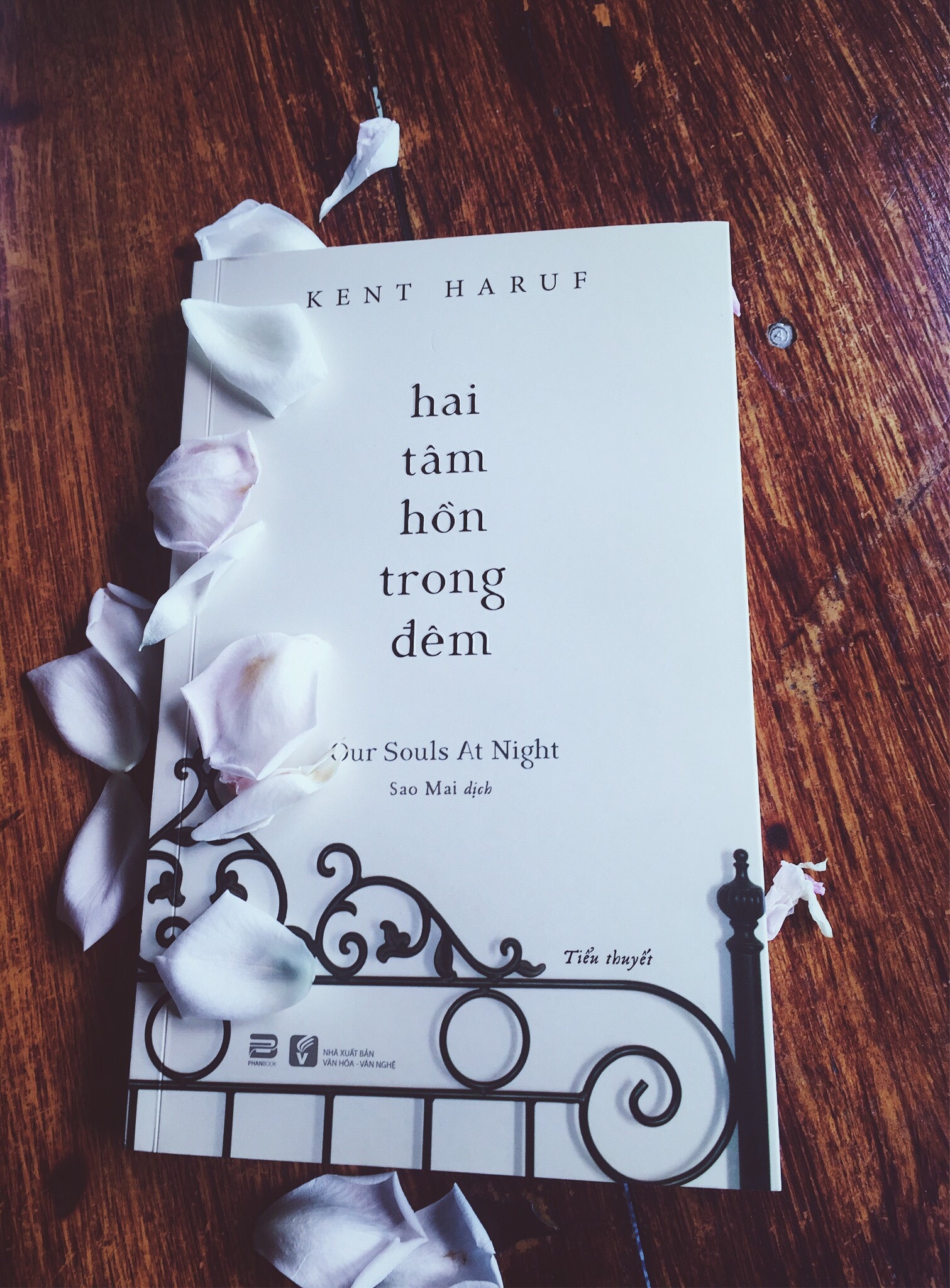 Review sach Hai tam hon trong dem anh 1