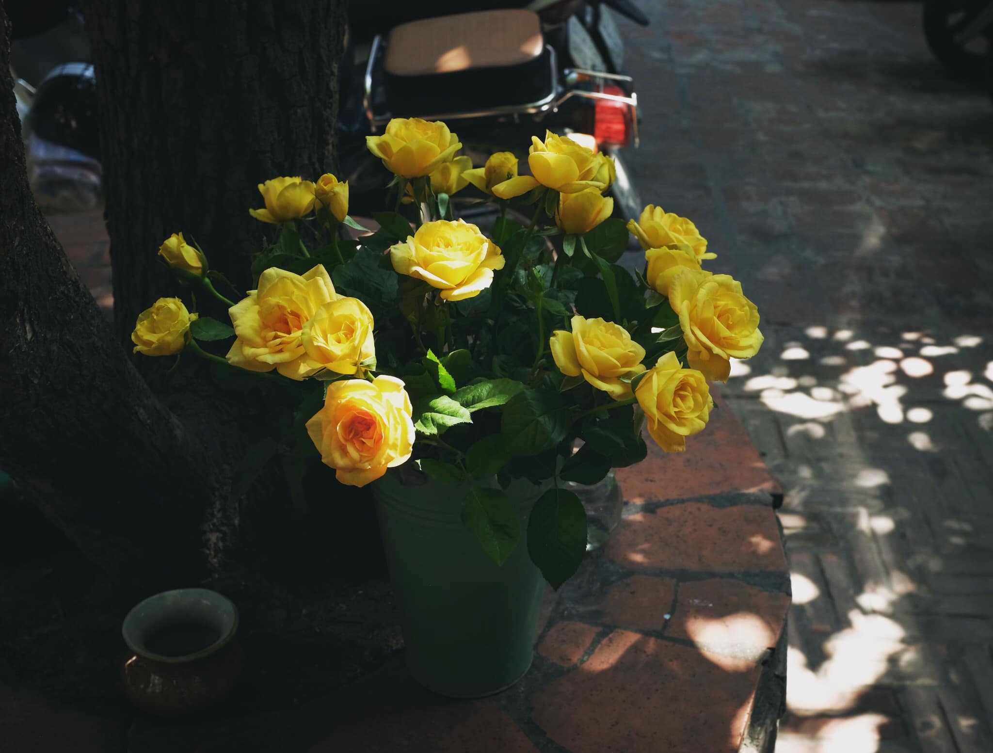 Boi chung ta xung dang duoc hanh phuc anh 3