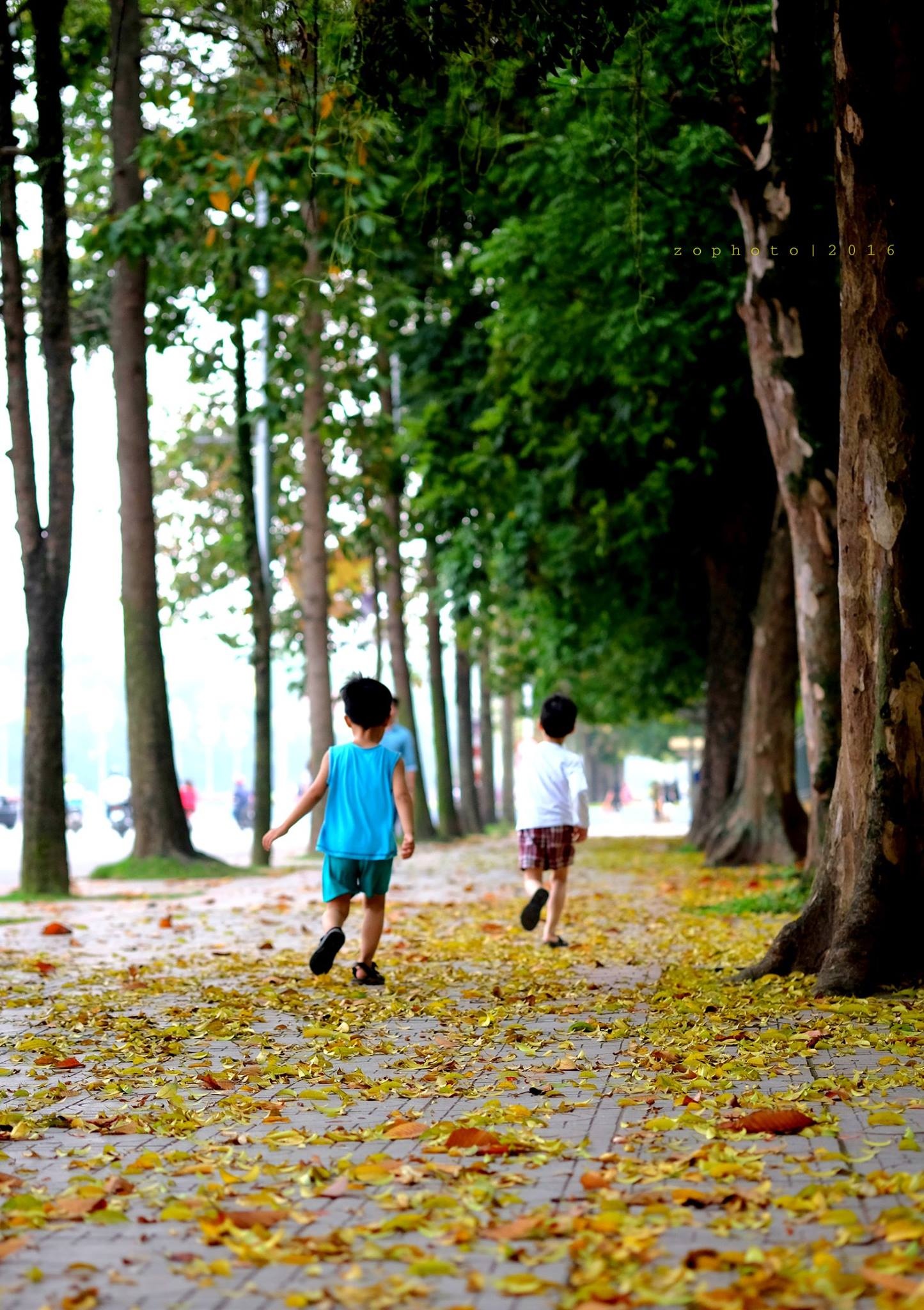 Ha Noi mua la bay anh 1