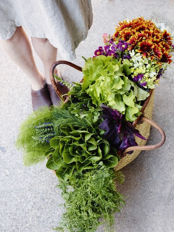 Rau xanh - ‘than duoc’ tang suc de khang cho co the trong mua dich hinh anh