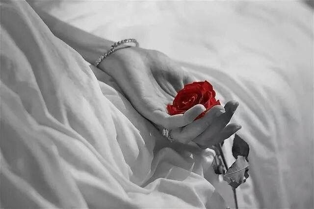 Buoi sang trong mong tuong ve em hinh anh