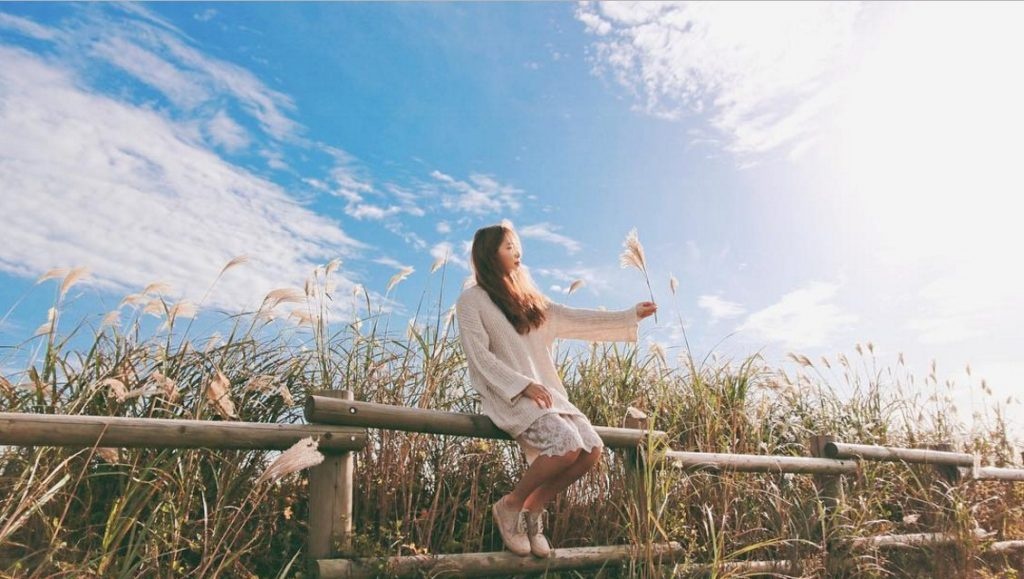 Hanh phuc la mot loi song anh 2