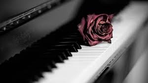 Cam on doi vi da co am nhac hinh anh