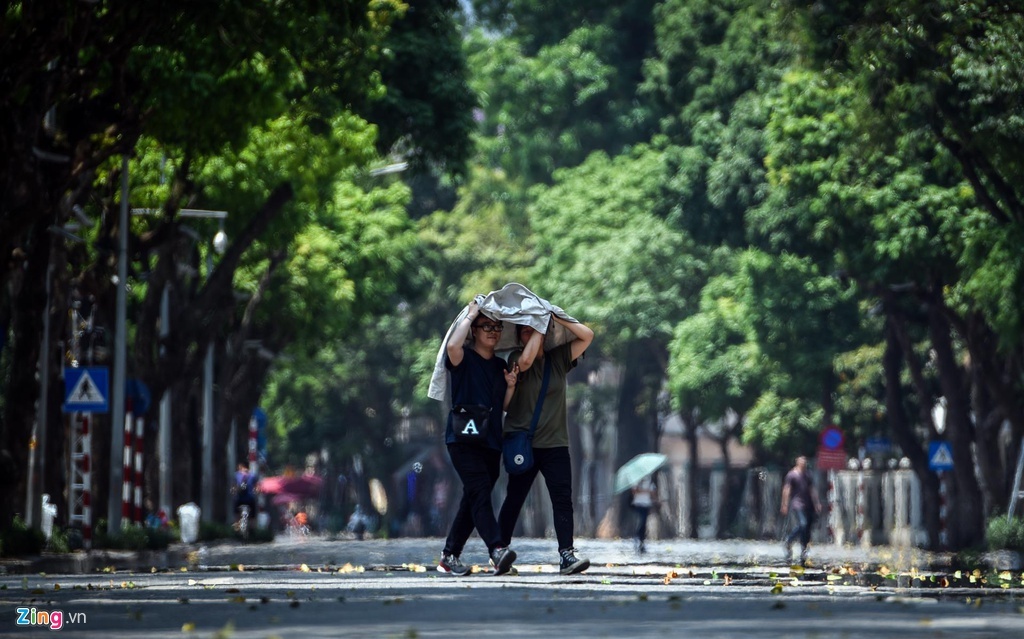 Ban tinh ca mua he anh 1