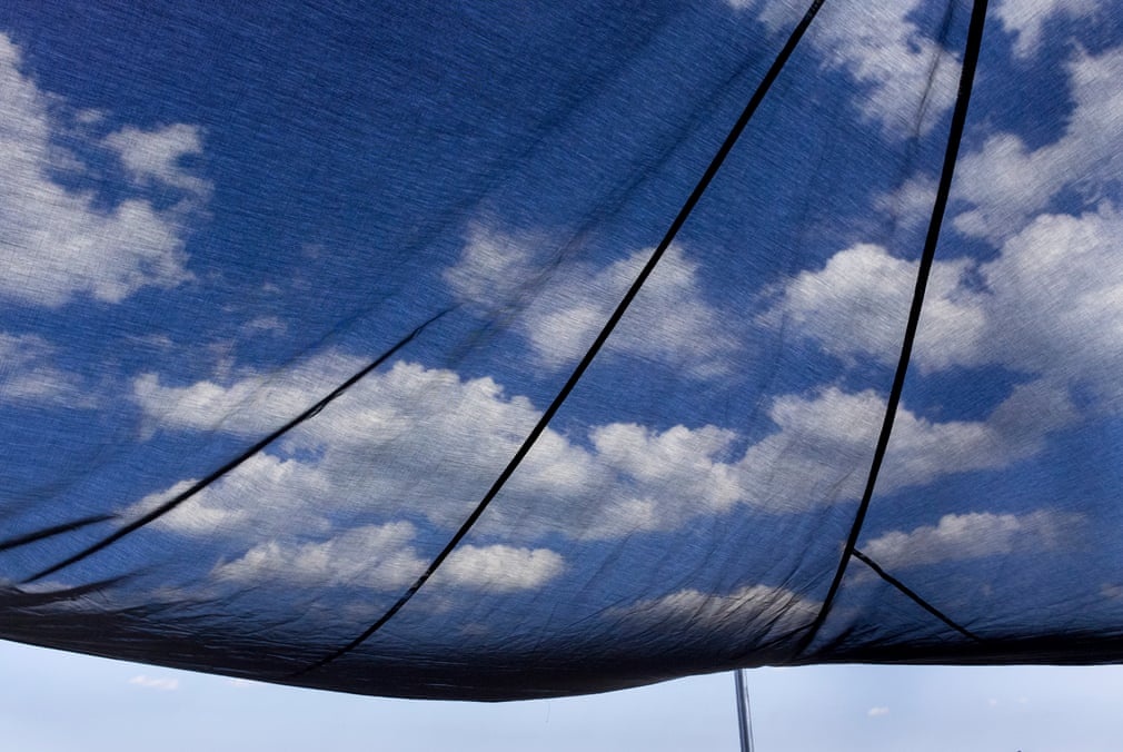 Tong thong Trump anh 1