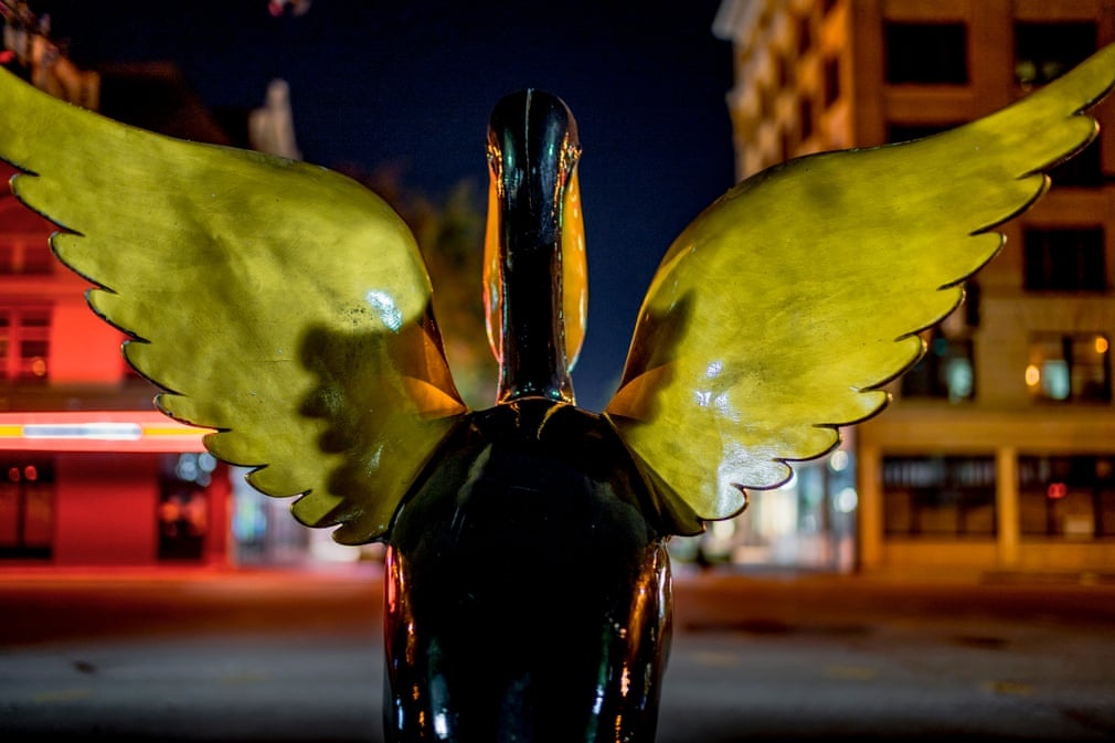 Tong thong Trump anh 10