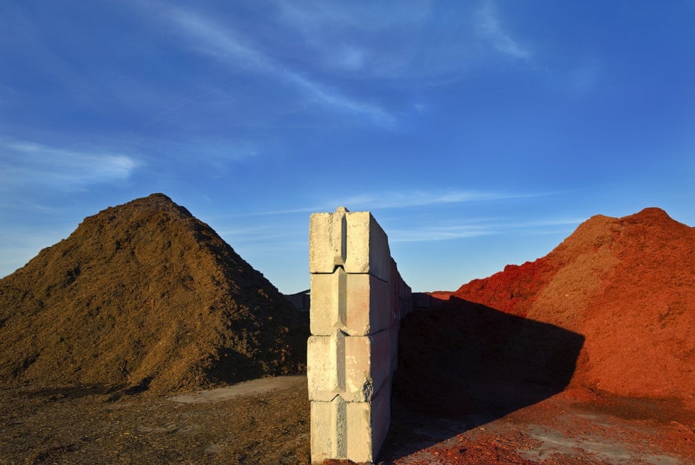 Tong thong Trump anh 5