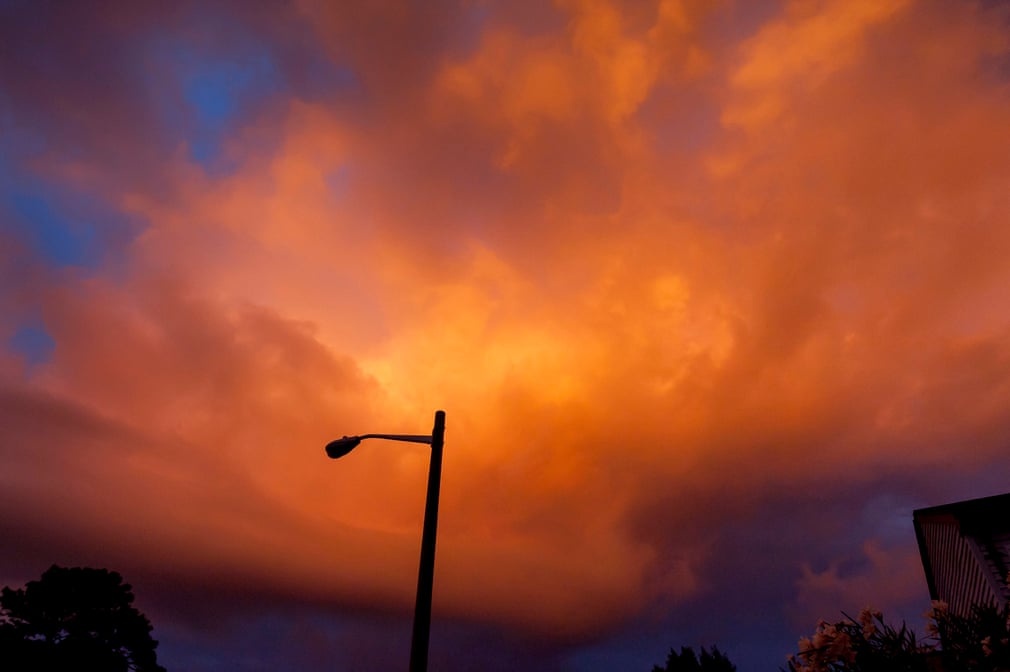 Tong thong Trump anh 9