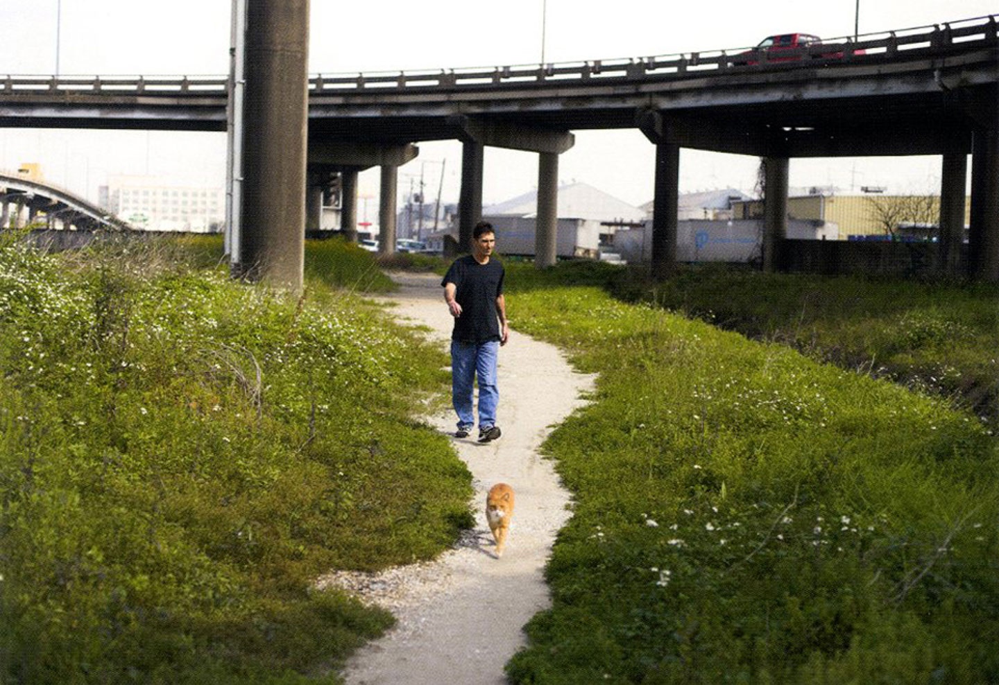 Sach anh ve ve dep cua cuoc song anh 4