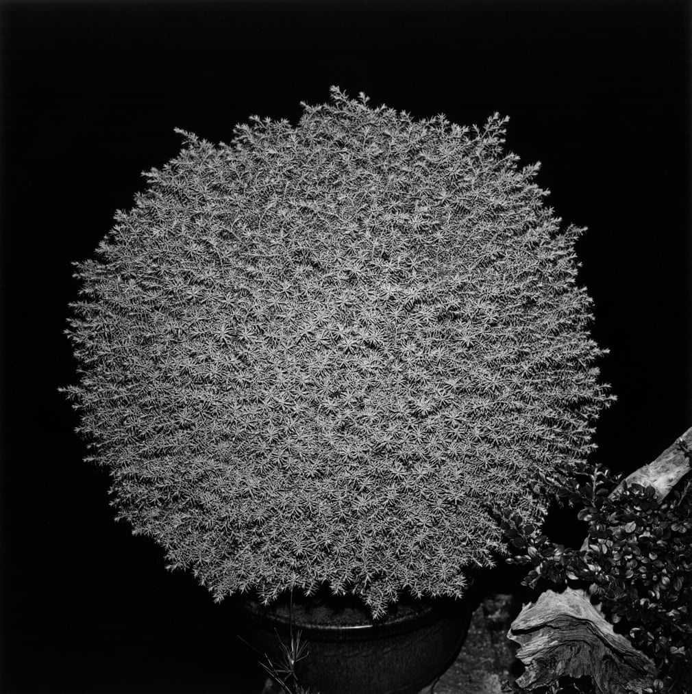 Nhiep anh gia Suda Issei anh 7