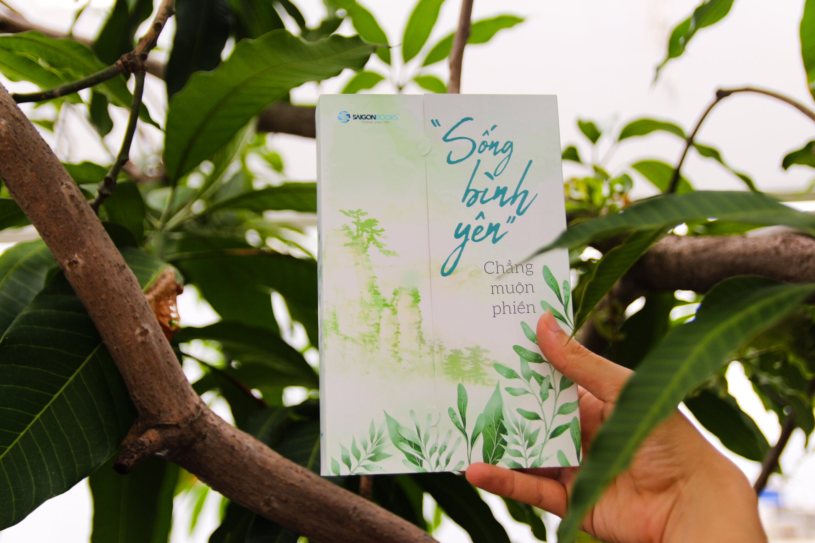 Tim binh yen giua cuoc song ap luc hinh anh