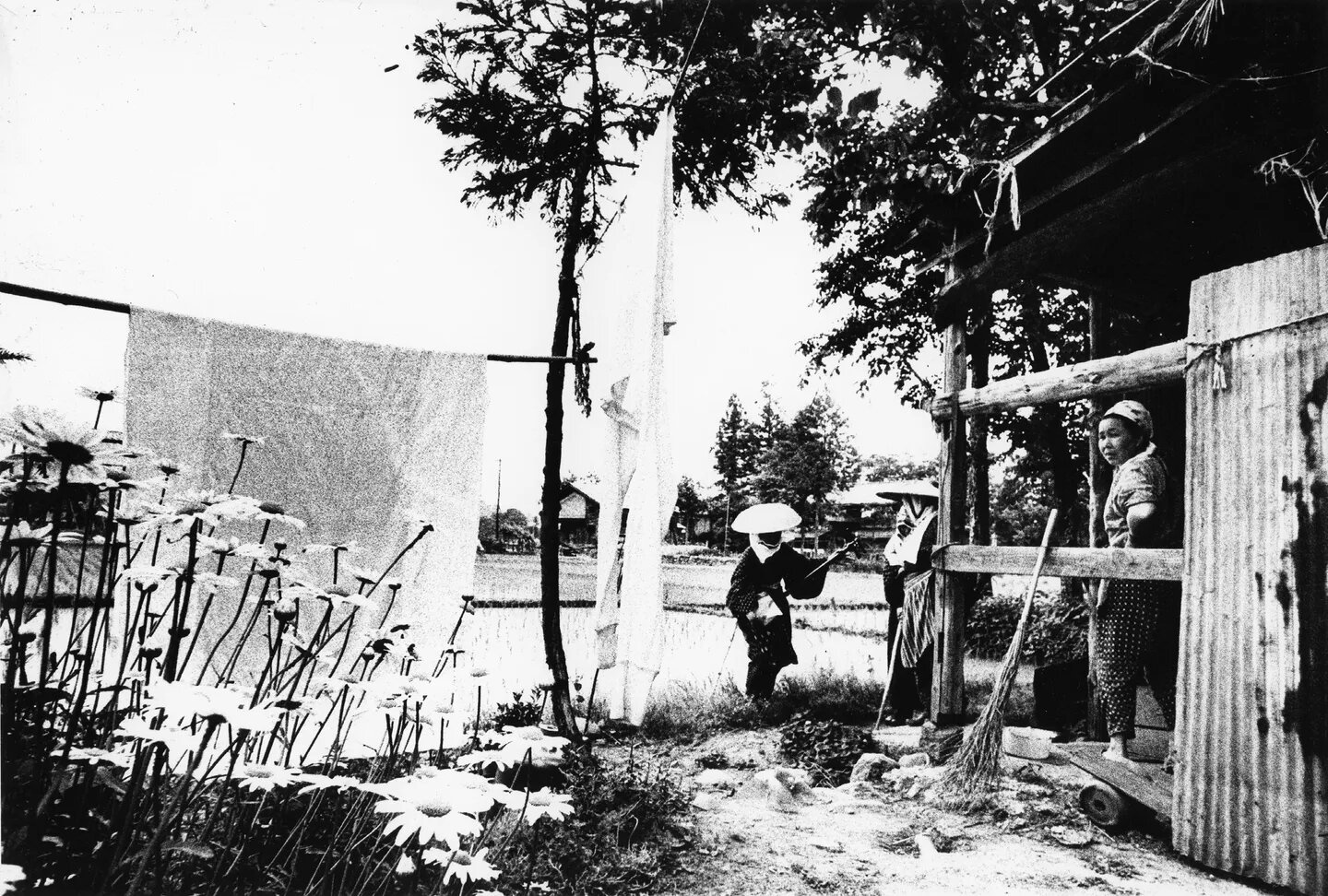 Goze asahigraph reprint anh 5