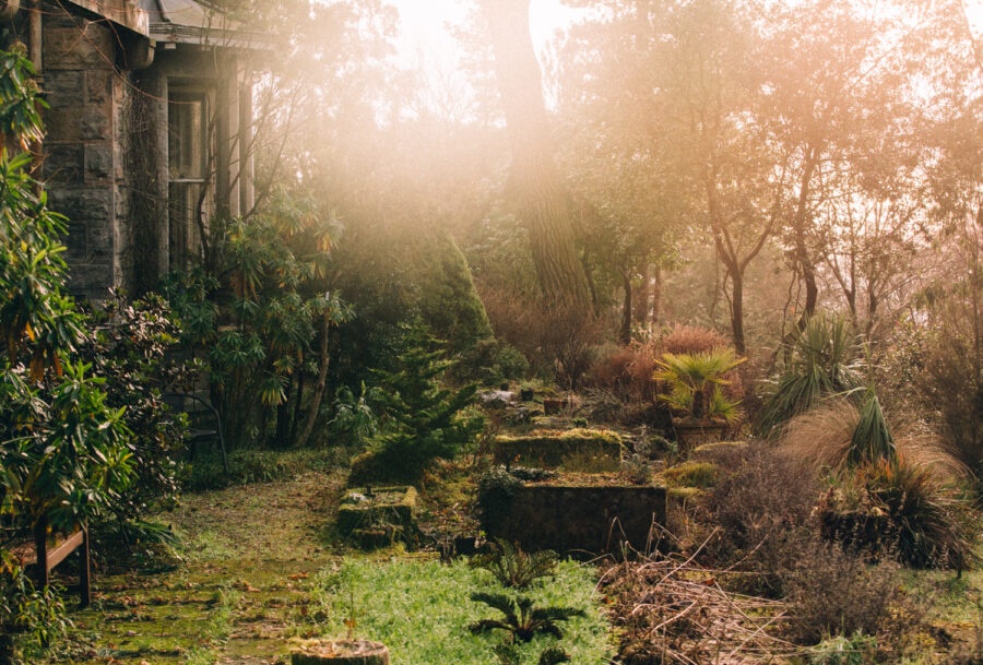 Sach anh ve khu vuon tuyet dep o Scotland hinh anh