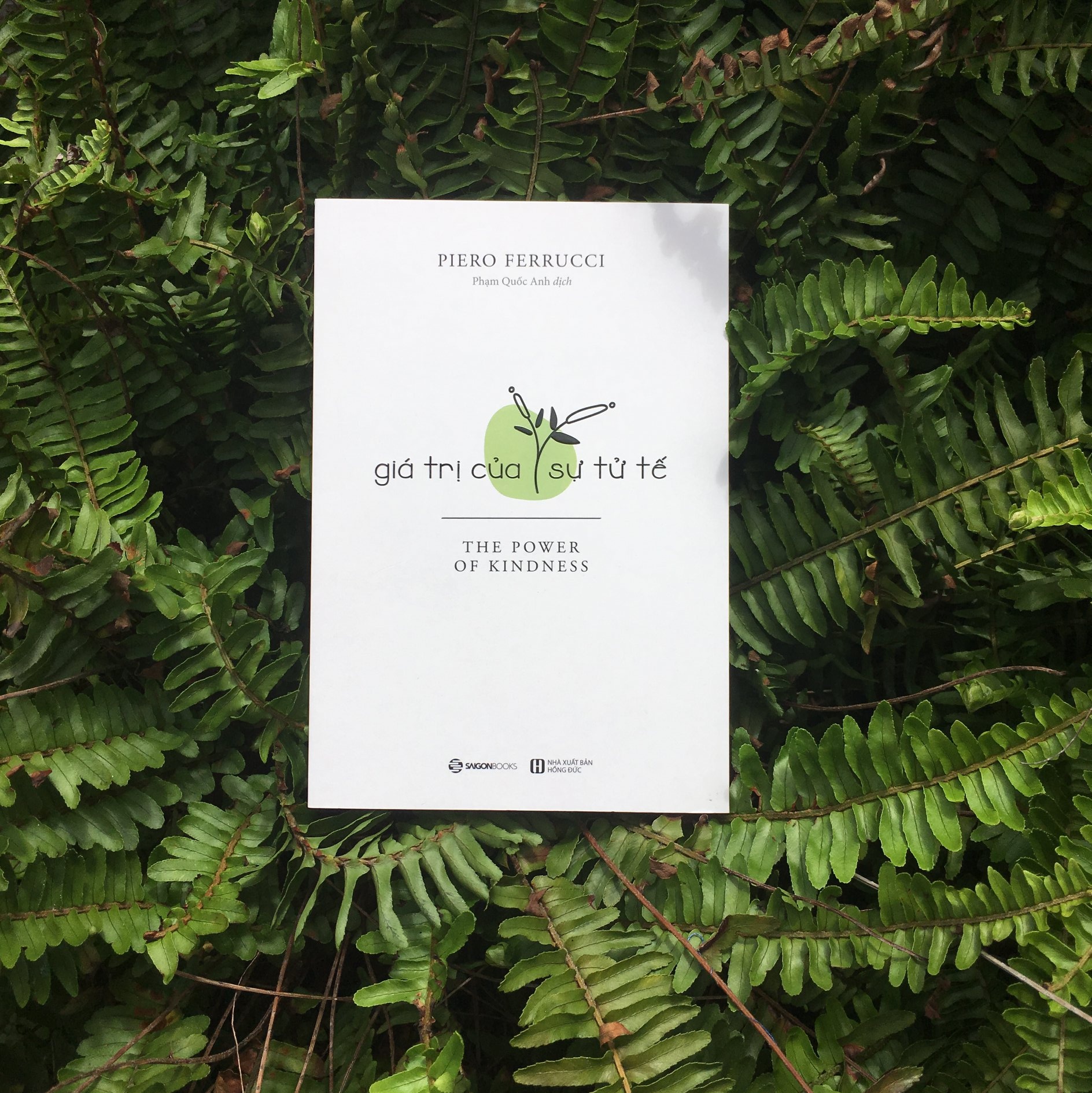 Gia tri cua su tu te anh 1